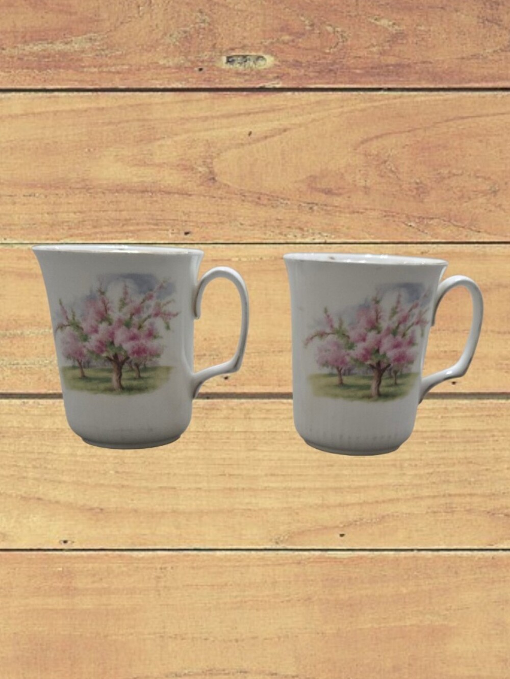 Royal Albert Blossom Time Fine Bone China Mugs